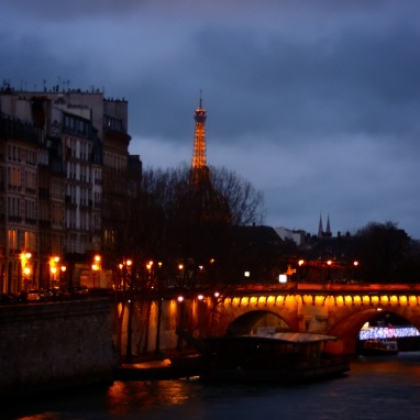 View of the Sienne and Eiffel tower