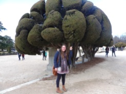 have you seen weirder trees?!